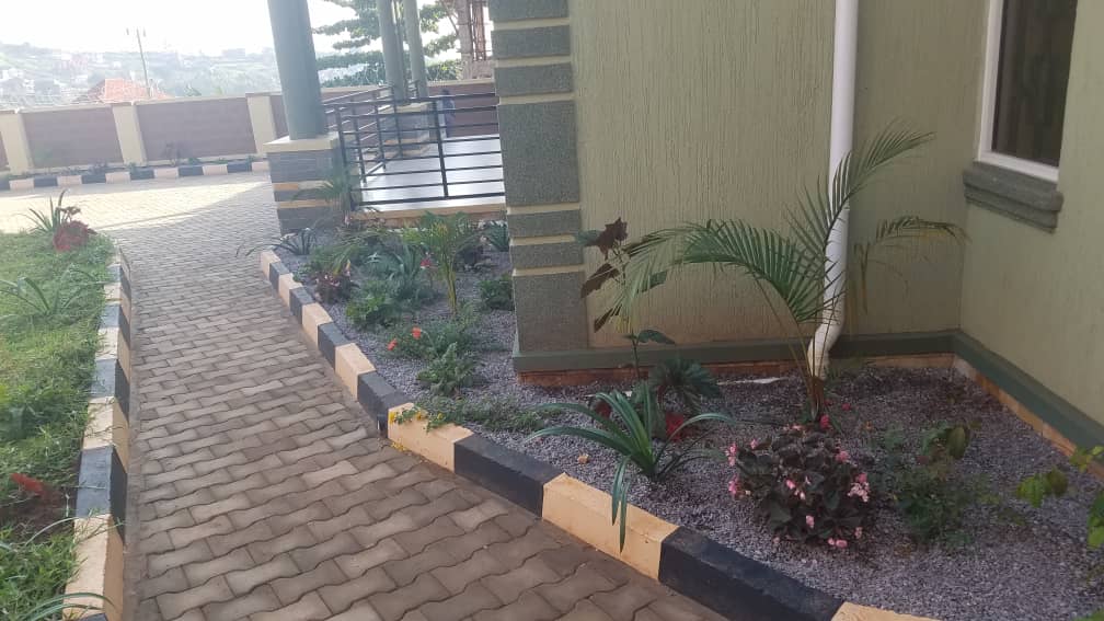 WhatsApp Image 2023-01-31 at 11.01.16 AM.jpeg